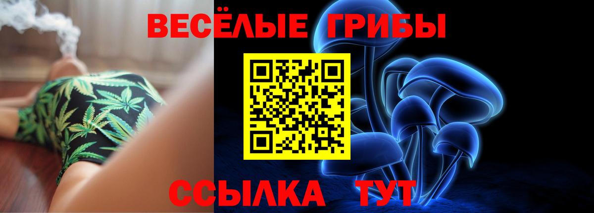 Галлюциногенные грибы мухоморы  где купить наркотик  Ликино-Дулёво  Вход с VPN 